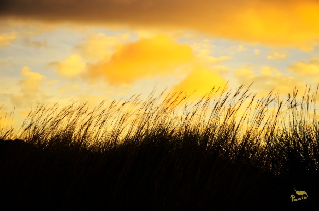 ©Paula Verde Francisco "Mi mirada te hace grande"