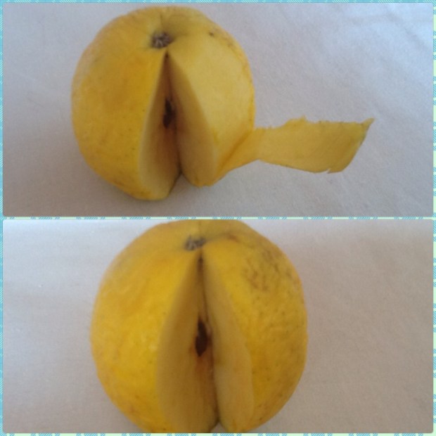 Partes de la Geosfera