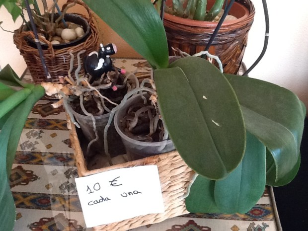 Actividades con billetes de euro para niños