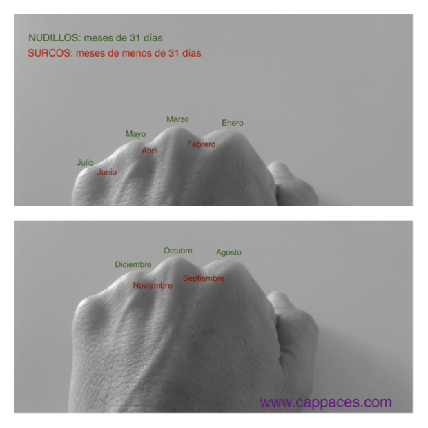 Truco para diferenciar los meses de 30 y 31 días
