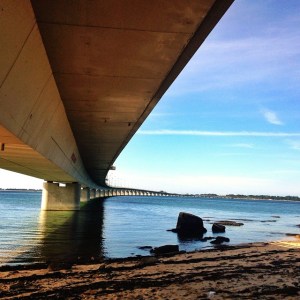 angustia por el futuro de hijos con discapacidad