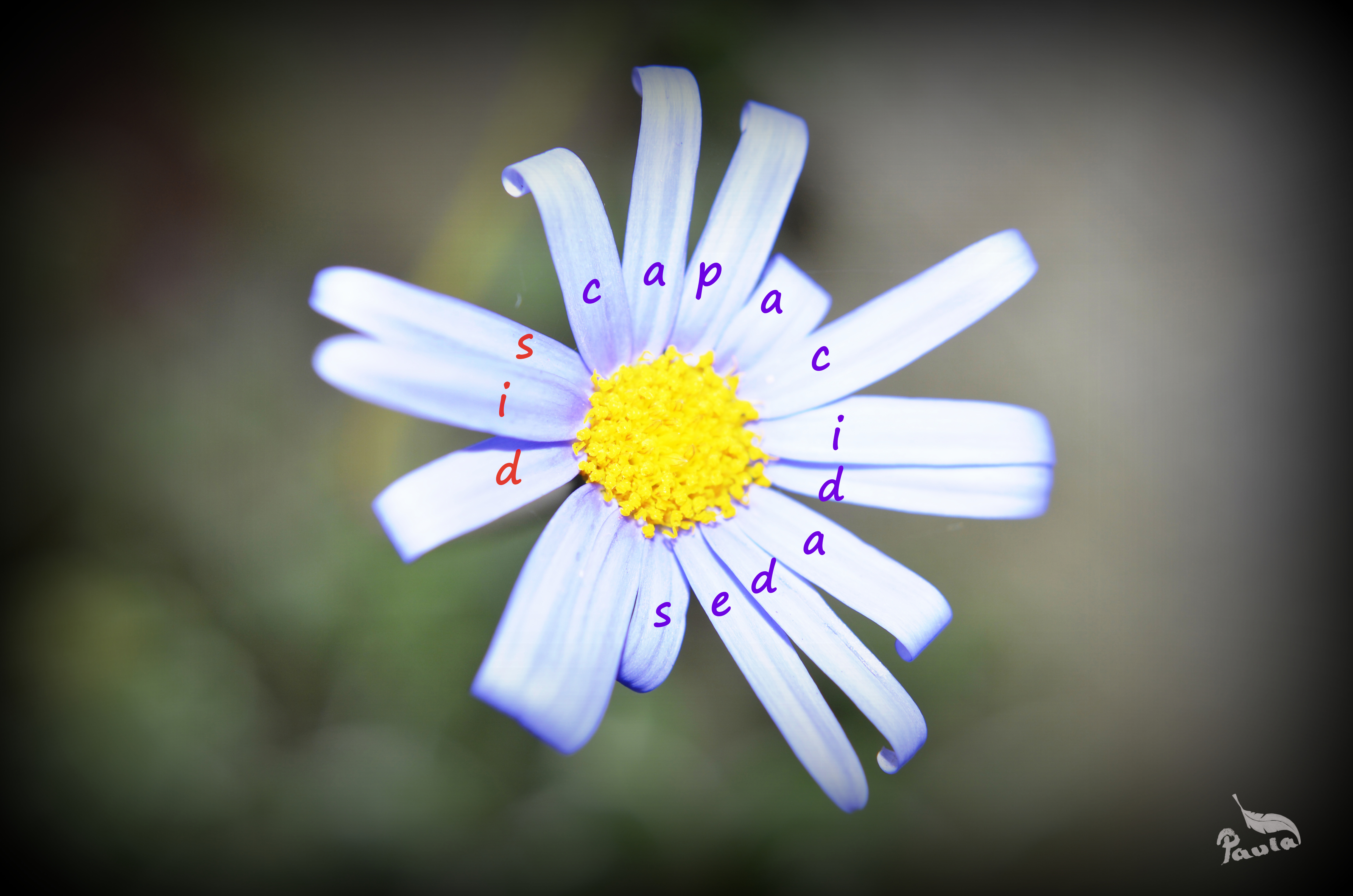 uso respetuoso del lenguaje, discapacidad, diversidad funcional