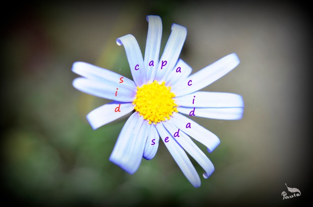 uso respetuoso del lenguaje, discapacidad, diversidad funcional