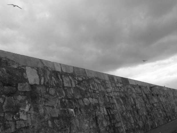 maternidad, hijos, discapacidad, diversidad funcional, lucha por la inclusión