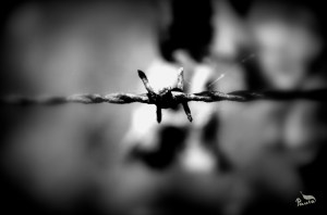 maternidad, hijos, discapacidad, diversidad funcional, lucha por la inclusión