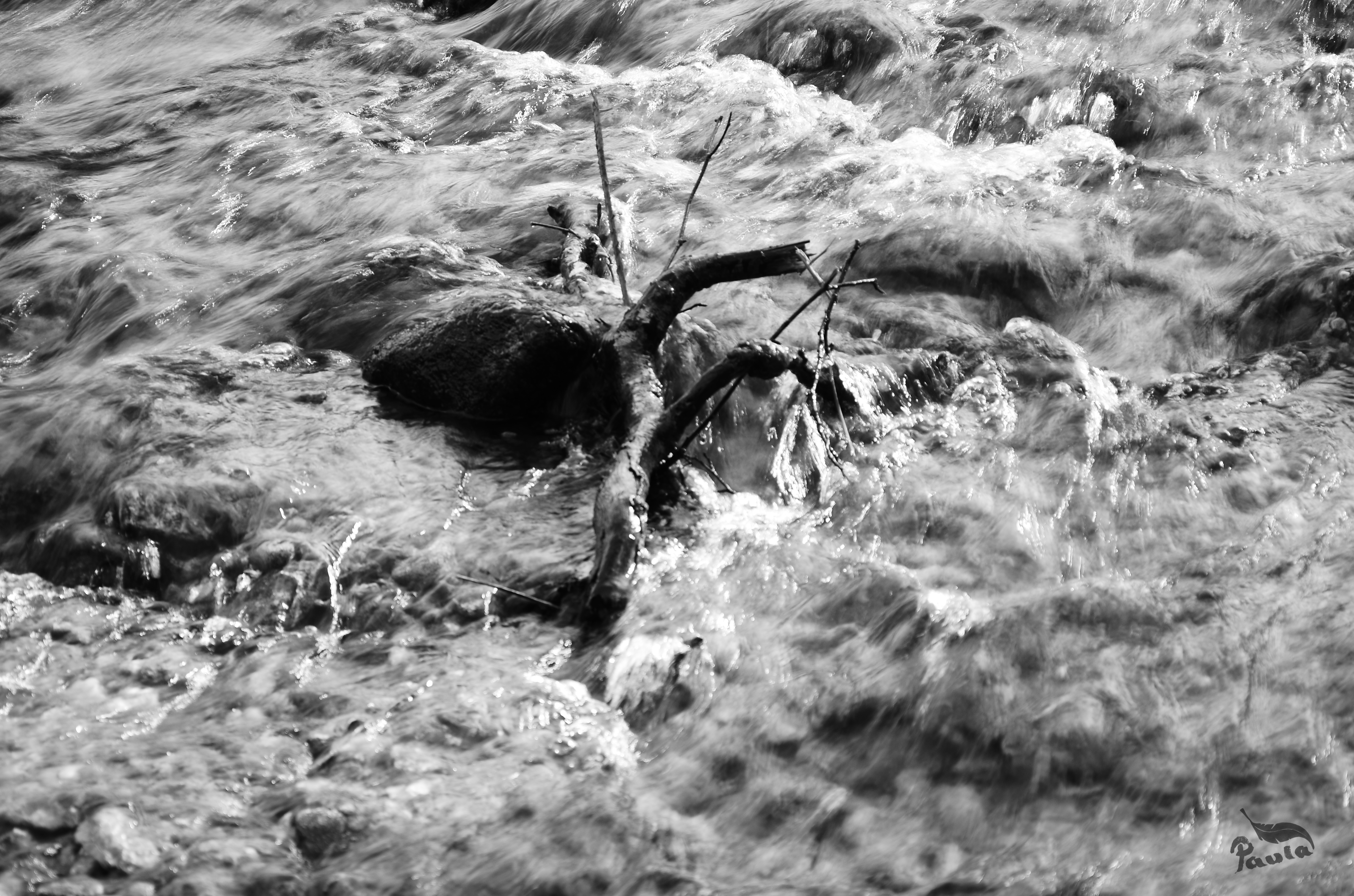 maternidad, hijos, discapacidad, diversidad funcional, lucha por la inclusión