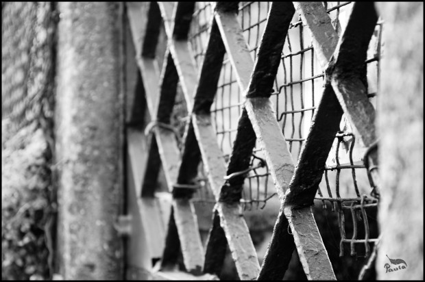 maternidad, hijos, discapacidad, diversidad funcional, lucha por la inclusión