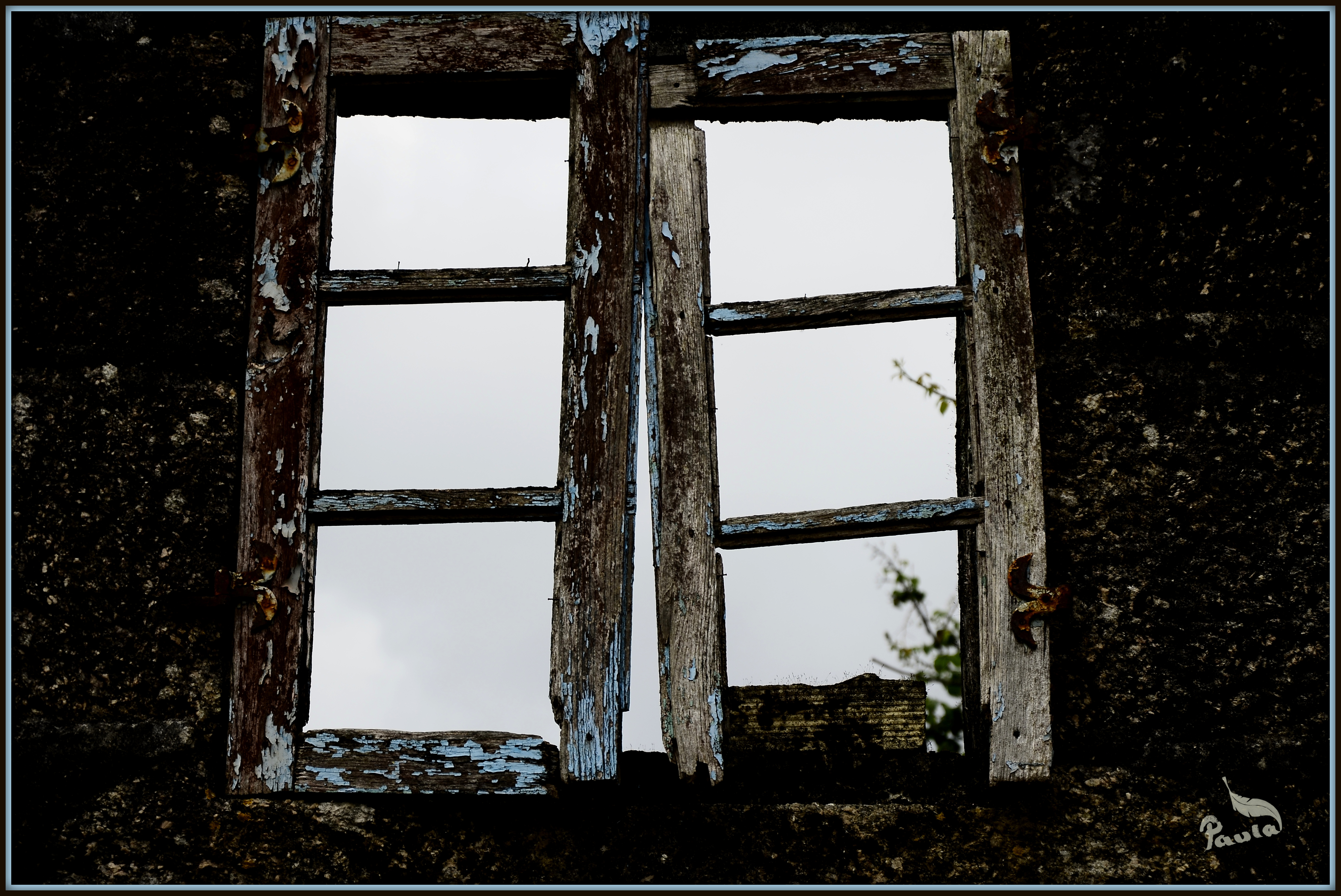 maternidad, hijos, discapacidad, diversidad funcional, lucha por la inclusión