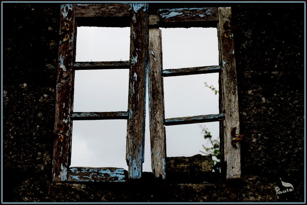 maternidad, hijos, discapacidad, diversidad funcional, lucha por la inclusión