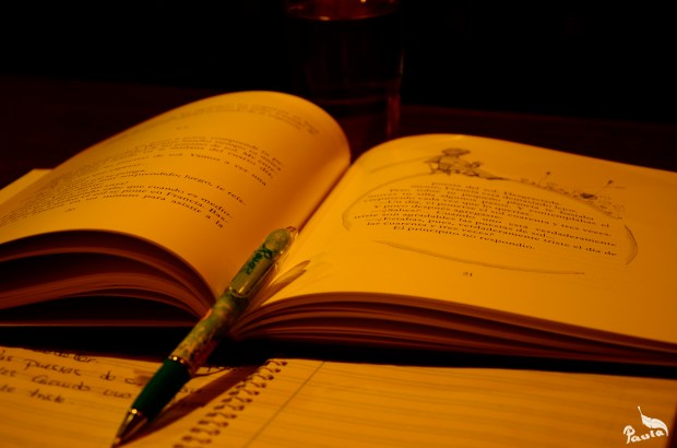 ©Paula Verde Francisco (Mi mirada te hace grande)