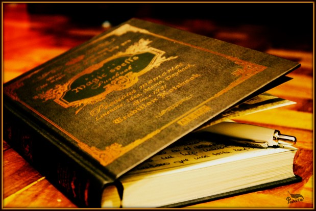 ©Paula Verde Francisco