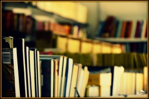 ©Paula Verde Francisco