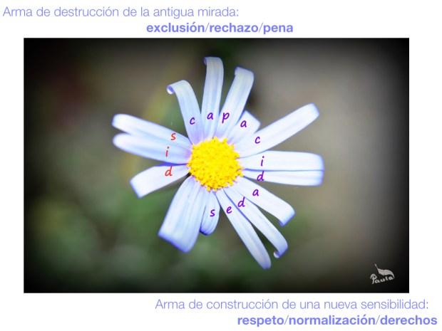 Imagen de Paula Verde Francisco©