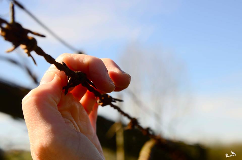 ©Paula Verde Francisco