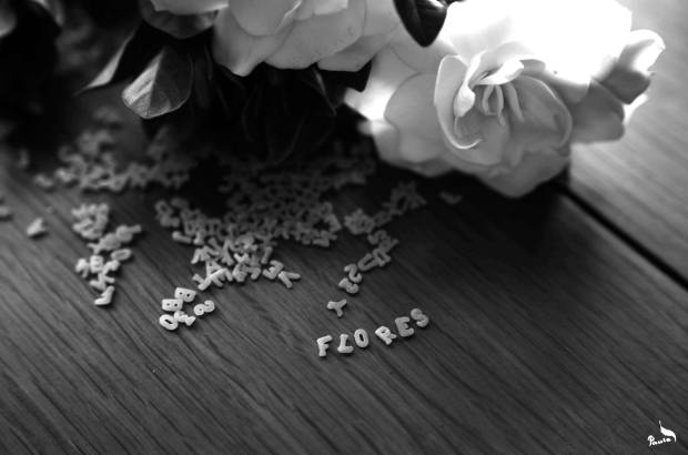 "Mi mirada te hace grande" Paula Verde Francisco