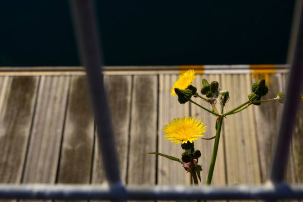 Imagen: ©Paula Verde Francisco