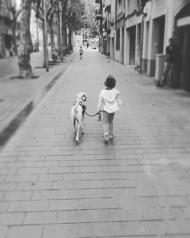 La escuela ordinaria expulsa a los alumnos con discapacidad