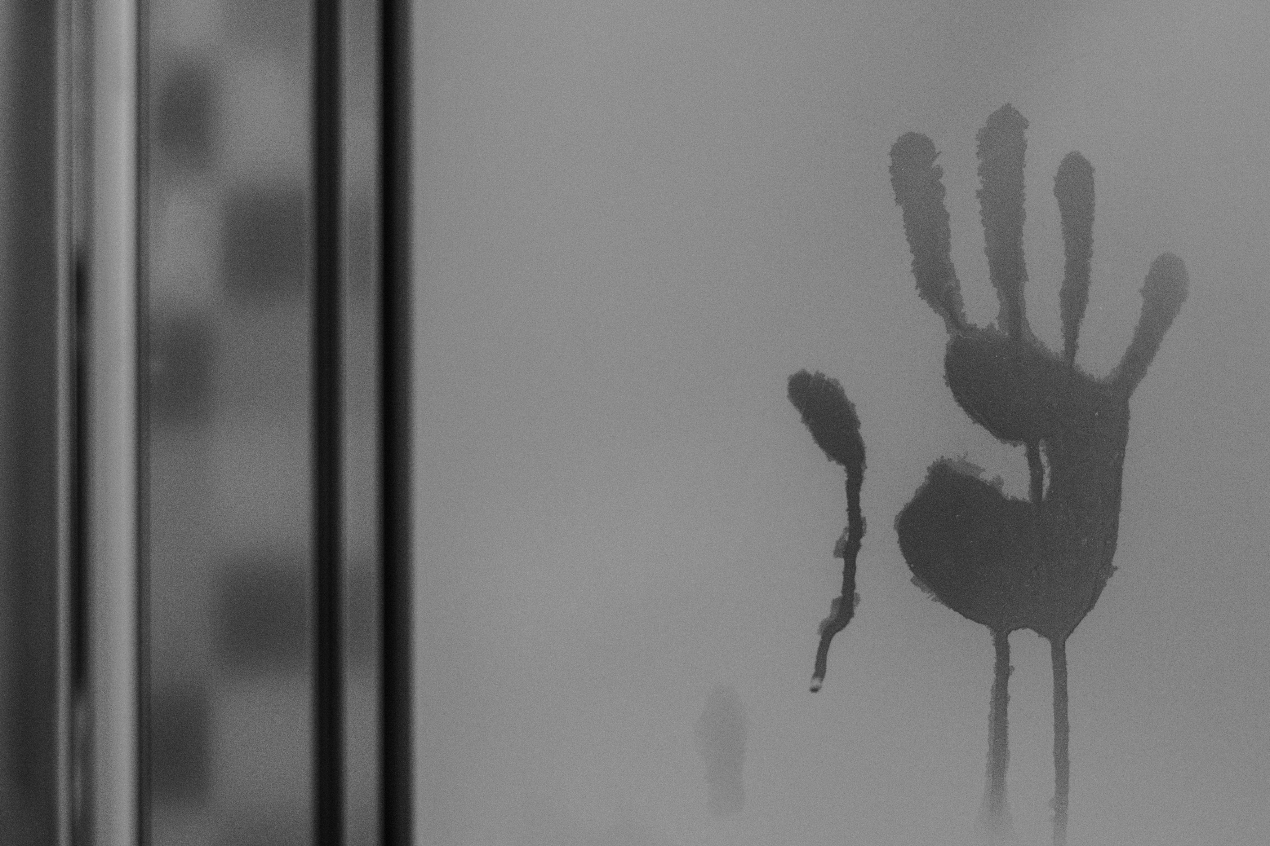 escuela ordinaria y escuela de educación especial