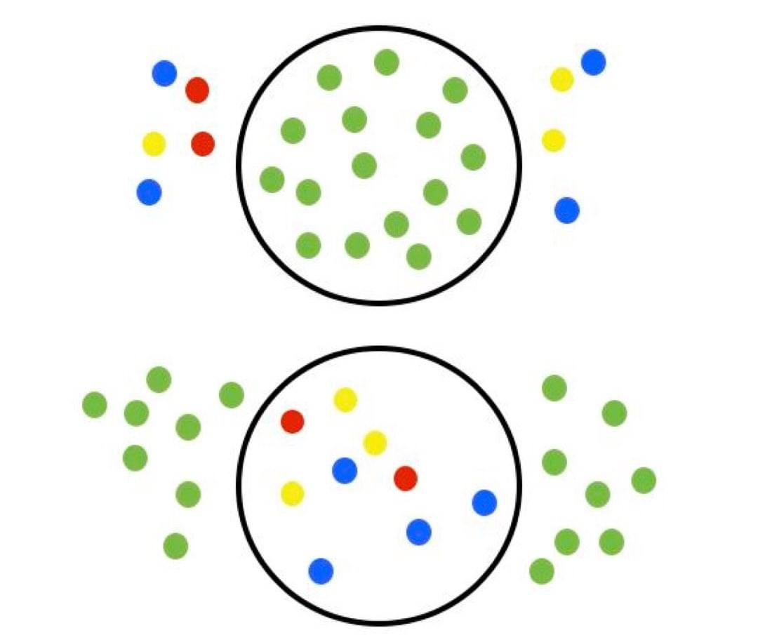 Representación de lo que significa inclusión, exclusión, separación e integración mediante círculos en los que se representa al grupo de personas con discapacidad mediante puntos de colores y al de personas con una funcionalidad normativa por medio de puntos verdes.