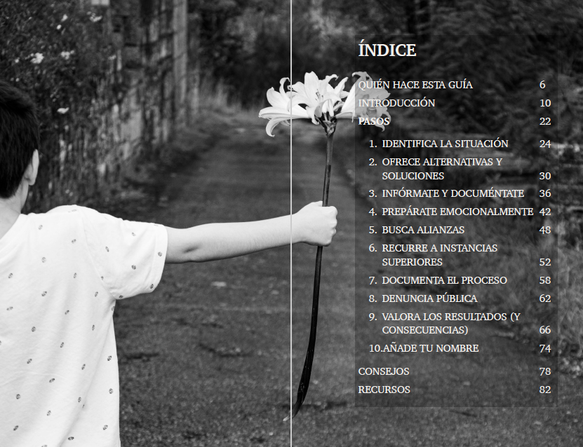 Imagen del índice de la guía